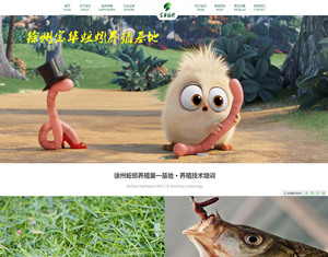 天二网络签约徐州宝华蚯蚓养殖厂网站建设和排名优化